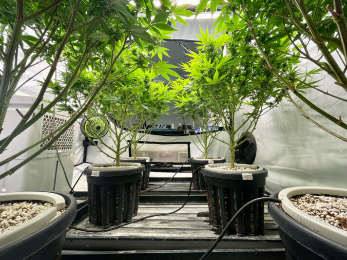 E6BF6F72-A051-4590-8DF3-1A247B55C526