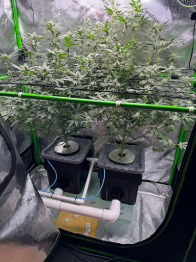 192F4079-673B-4720-A5B2-5A41F9F41E28