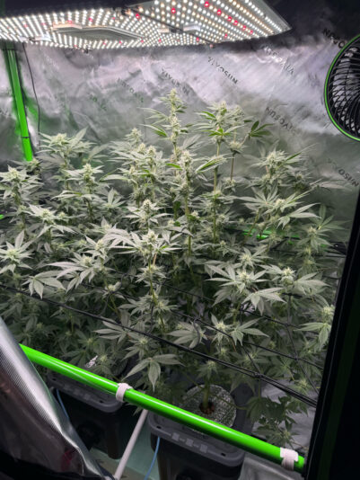 EFE0E627-4183-42A8-9629-5E1342E5F11E