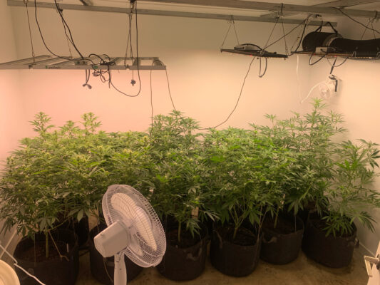 FD7CE43C-28DF-457F-B762-86FFBA69652B