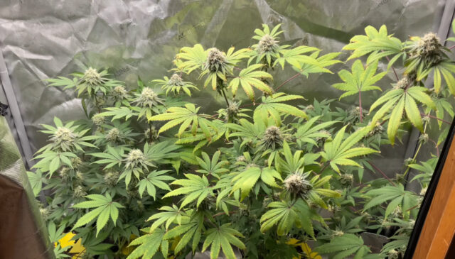 9B7E73FD-B807-41AA-BE49-C1F50DF762C2