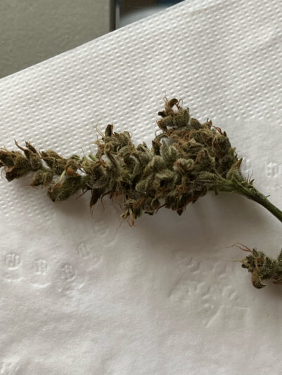 3CA86801-8F0B-47EC-9644-91BA04282FA9