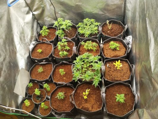 18773c25-a2d7-4107-a83f-dd29ec4f2185