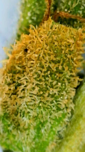 1115CCC5-770A-488E-B2A3-09180E8EF327