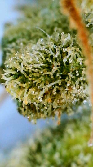 F1EB3E1B-BC14-430A-8A78-7C6A387A160B