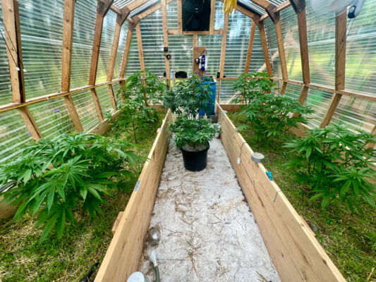 365EDBF0-78C0-49D2-B62D-F33C7CFB925B