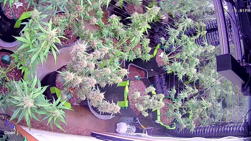 69656097-c0c7-4441-af05-0b4f3fa8c96d