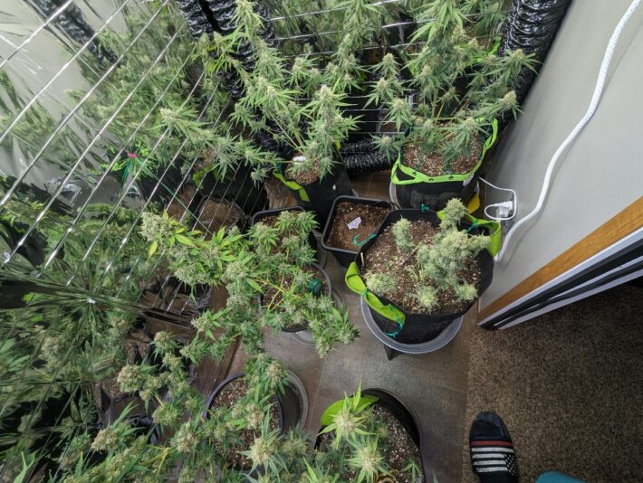 2e7c0bf3-586c-4c48-aa0e-566ef2031218