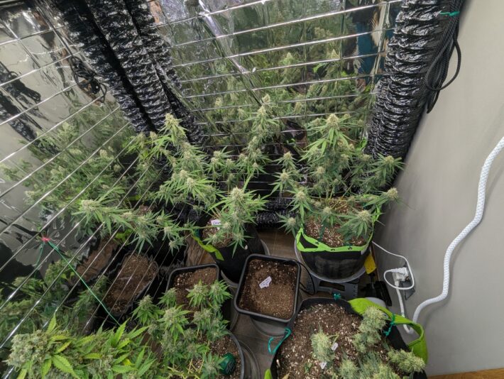 642aaebd-ef9c-40fa-9de9-5a7c8750d92a