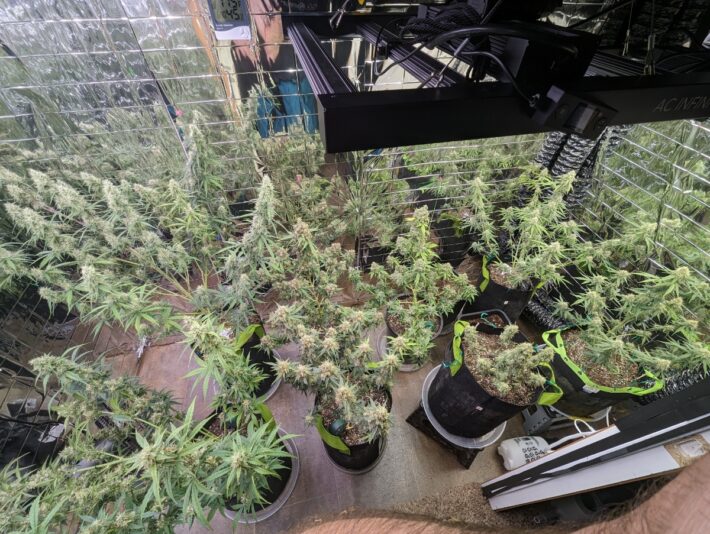 e602e7c0-93b4-4d68-9470-3550f61f6f06