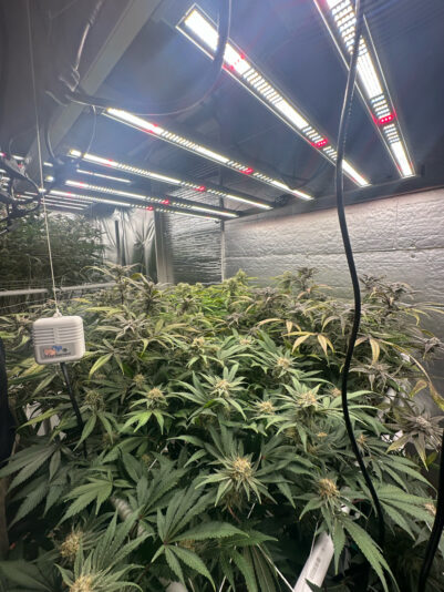 43D4A032-382D-4821-89DC-DC1D6E5B3EF0