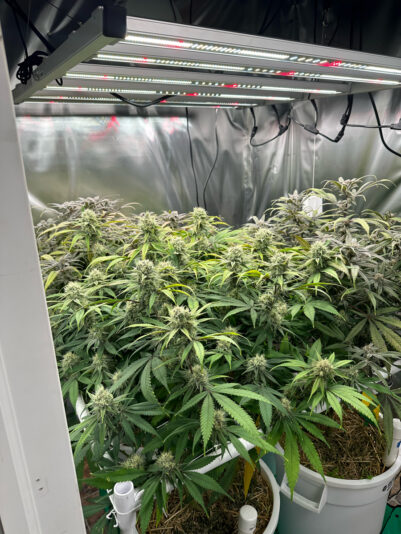 927B8E22-E355-45CC-8403-6FA8E8315FF9