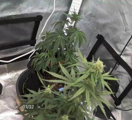 BC5E335A-4D1B-4F84-AA7D-8ADE7B326558