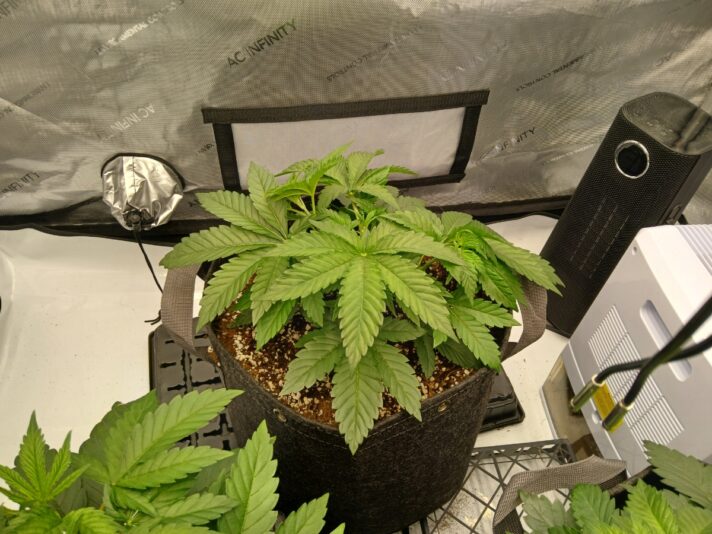 57c9d838-af85-4a89-b7bd-83e3b41dd900