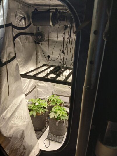 5e524913-afdd-4ede-9b71-127ea9730907