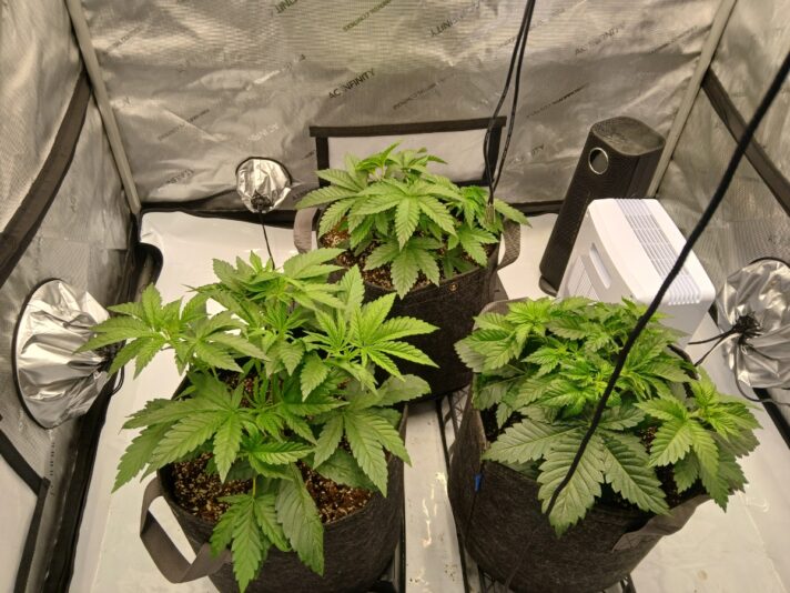 8a3d06ab-e0b8-4329-a7b8-05d5fc008422