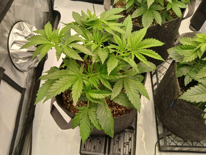 945244ed-b5ae-463f-bbd5-9994943144fa