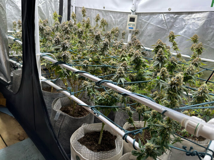 F8493008-8D59-4A36-A8D1-15C4A97D3DFA