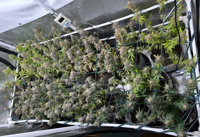 A59FA868-C005-437C-B4C2-1365BB430447