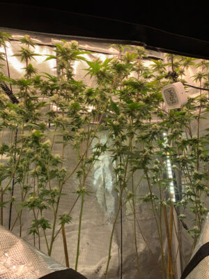 6C4B4361-A2C7-4D6C-9C60-1F9891D7B386