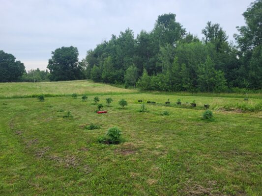 fb32f33e-a0a5-4aad-8a19-33690abbdfe9