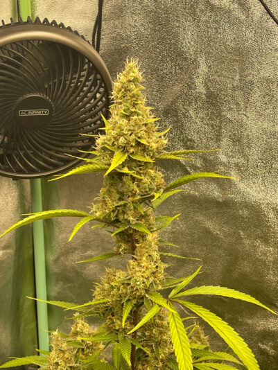 07DEE8EC-DF0F-4EC7-8CE1-DF59F9E915BE