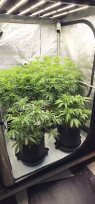 be8e6a6b-c203-43e5-8e27-c357be7dc58f