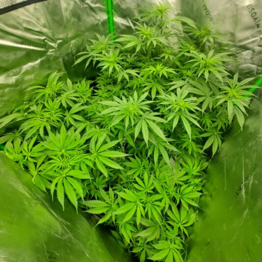 017936e1-680e-4140-b89d-6e5adc8bd776