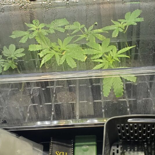 a55fe9cc-6a50-4fbf-b702-d84c3773206b