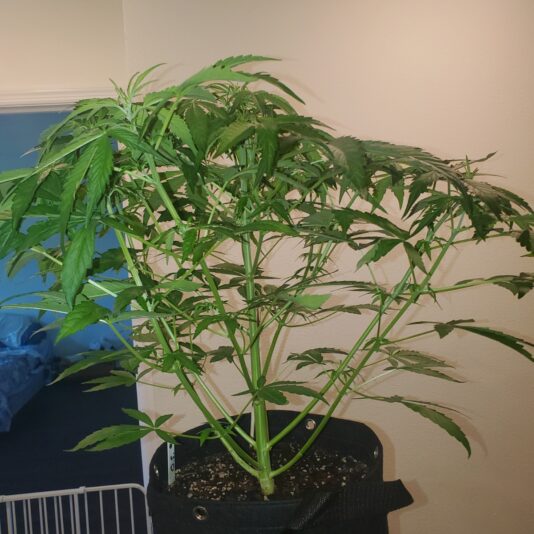 c67cdcb7-f43f-4cbd-9b41-b465f842f574