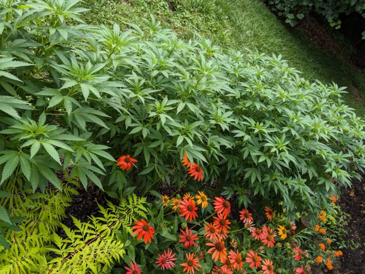 PXL_20240626_134221545