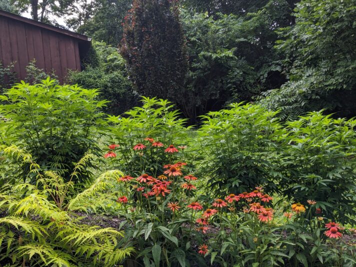 PXL_20240626_134206478