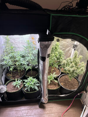 F831179A-4510-4AC1-B5CF-F1D18CABB20D