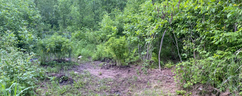 87990249-C61C-44B2-86C5-AE38D9AC424E