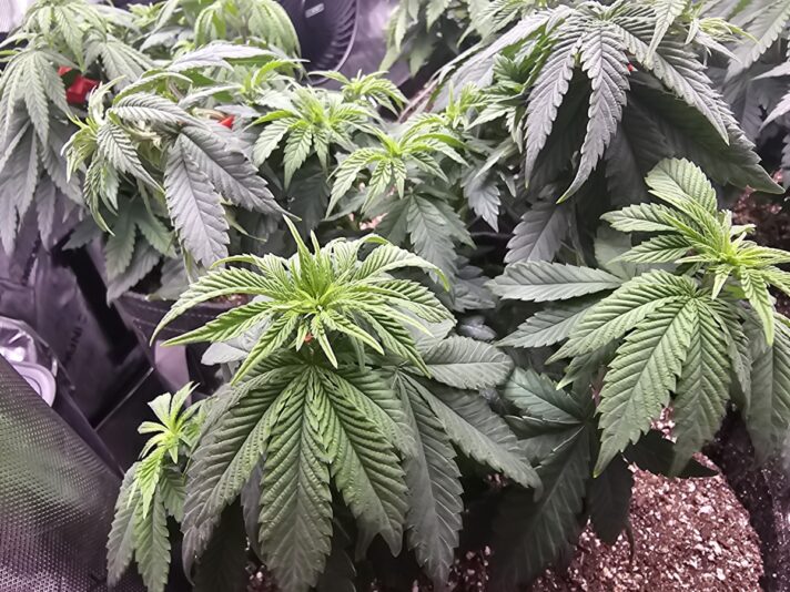 8b5ee123-bf47-4cfd-8bf1-047294808265