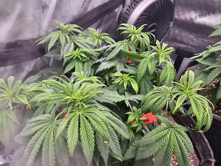 0cff78d3-65da-44b6-a474-8506fe60c93a