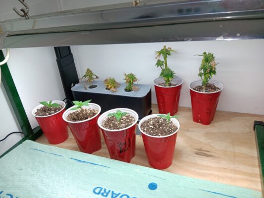 860f803b-f886-4a66-a84f-e1e4bbb81676