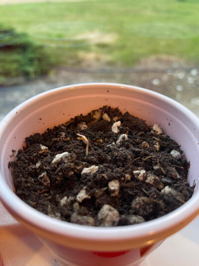 CBA69FDC-C924-44A8-8C23-39574BCC761F