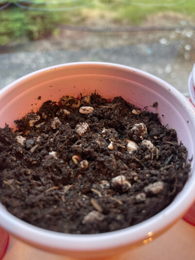 FDF62EF7-AB76-4808-8FB4-CF7AAFE7D64A