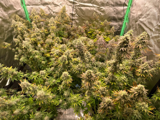 D9B6885C-F356-4048-90EE-A4AC135ECD39