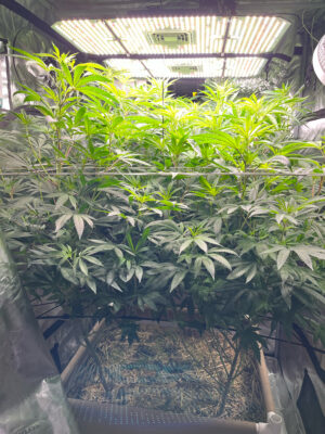 4BB07741-886F-44E1-9200-70B58CC05C17