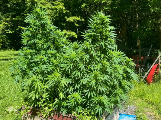 27CBDC33-13C0-4388-8B4C-DE632EA37AC4