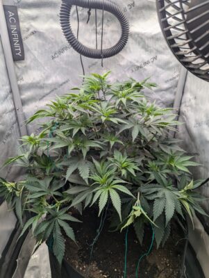 059be1fe-95d5-41b7-ad87-c5f14f737fbd