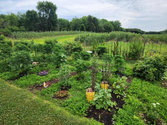 cb2910de-b45d-45ce-94ca-906f260c6228