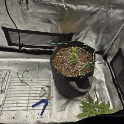 a2e0b93f-96be-46f5-886d-e24f66aea6ae