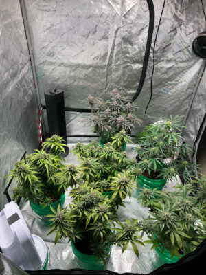 534259CC-1C5D-479E-94C5-2B4831DC6228