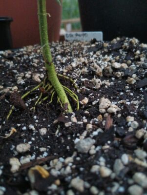 4ac1a9d1-efe4-41ca-9d57-9b3ac617a7da