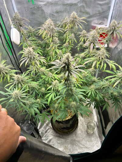 7315FE75-335D-4795-9BF9-D04335B084F2