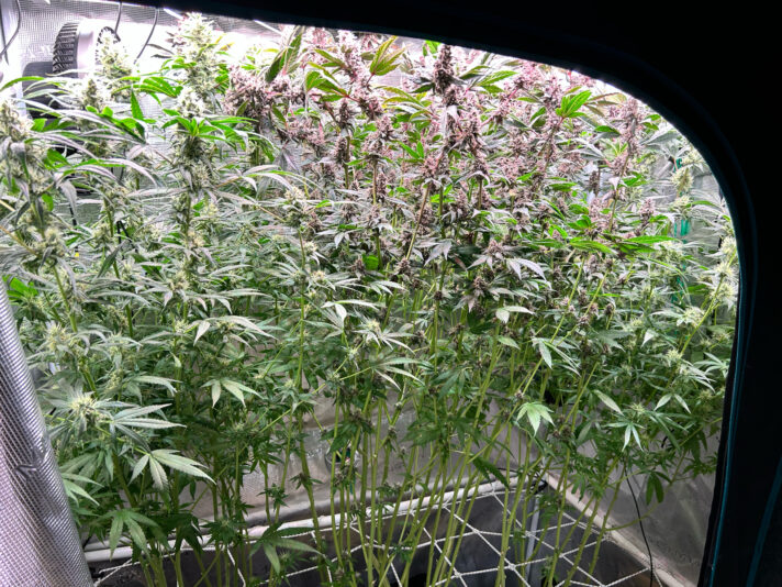 8881F59A-EBE0-4DF7-BF60-9CF776308C15