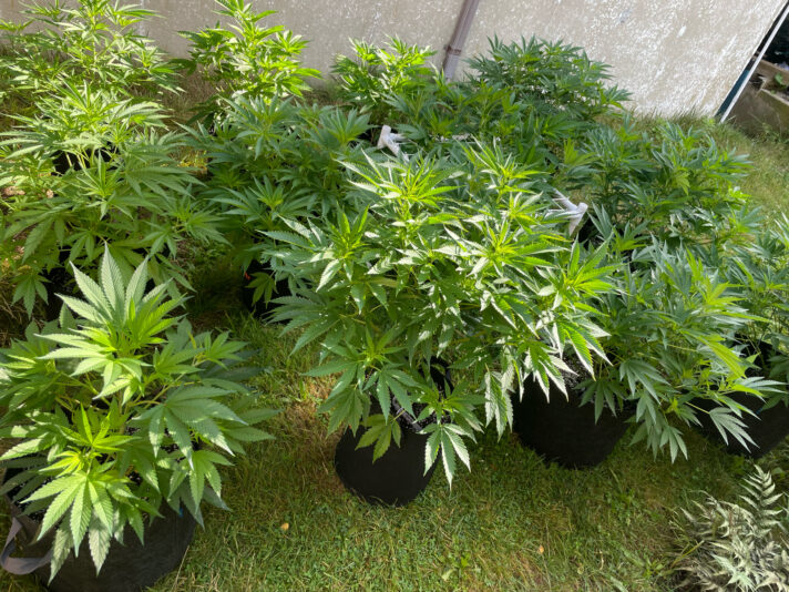 2F125EE2-8059-4450-993D-67BDE49F314F